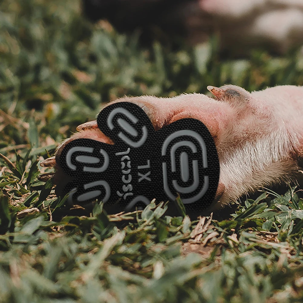 Anti-slip Paw Pad Stickers for Hard Floor or Injuries